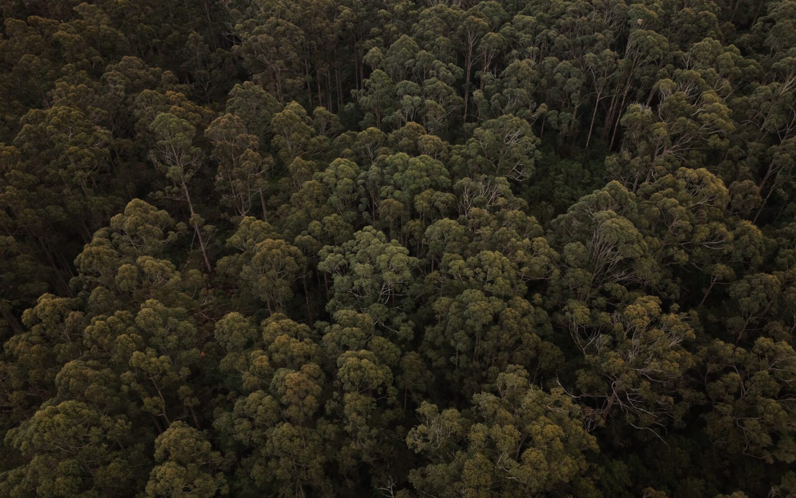 LoveDenmark_WebRes13